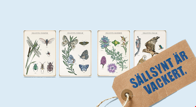 Sällsynta affischer, Sällsynta fjärilar, fåglar, blommor och insekter 